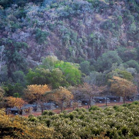 Lions Rock Rapids - Luxury Tented Camp Hazyview Eksteriør billede
