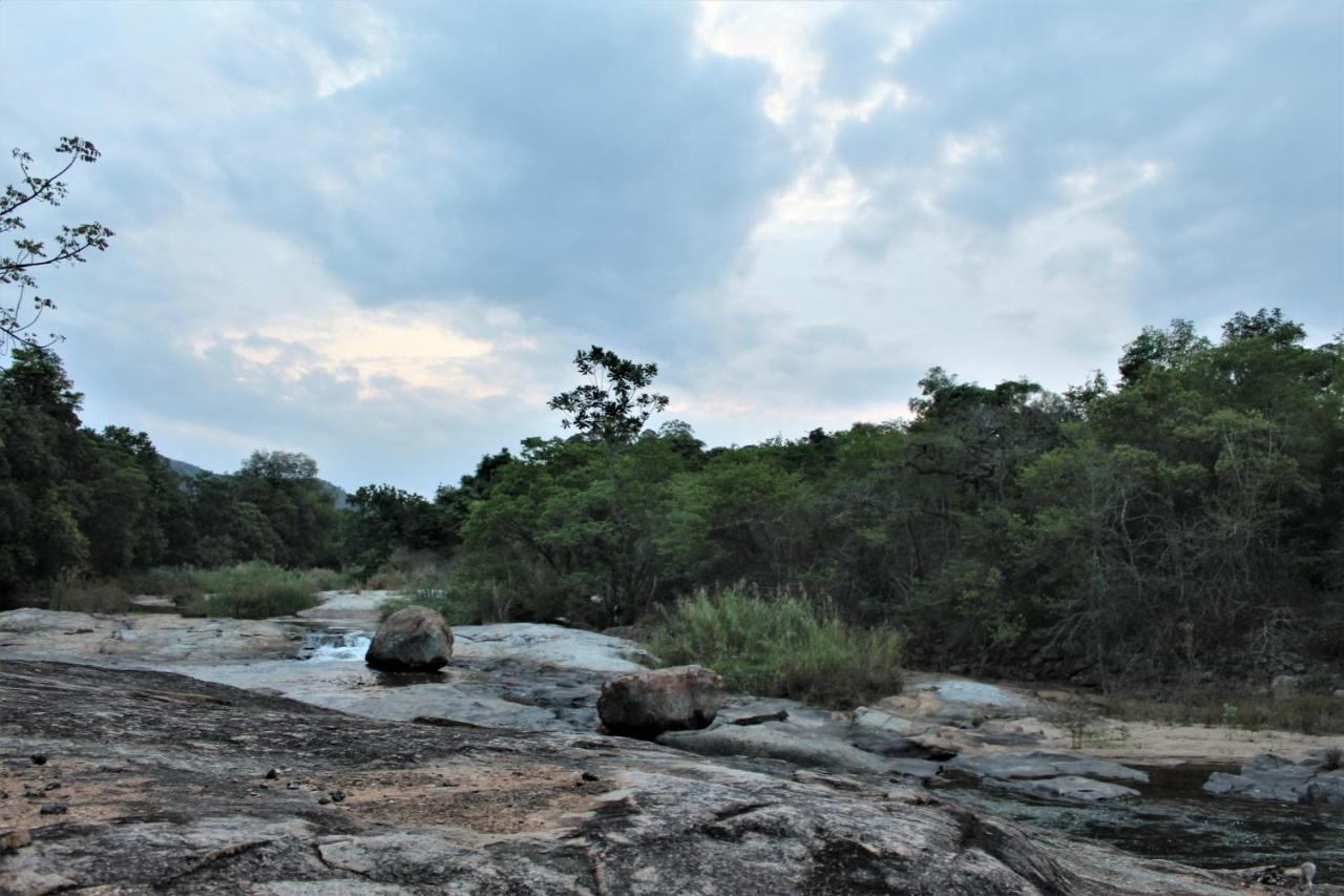 Lions Rock Rapids - Luxury Tented Camp Hazyview Eksteriør billede