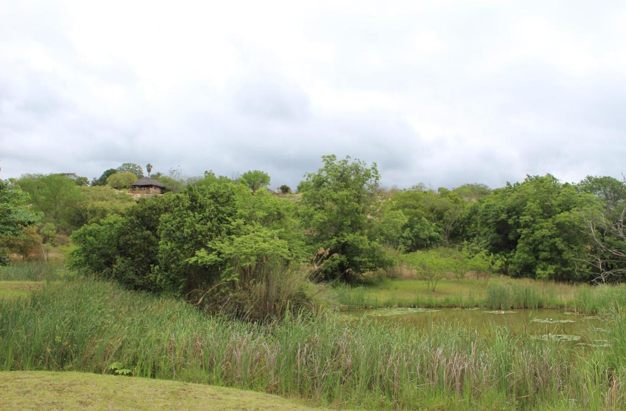 Lions Rock Rapids - Luxury Tented Camp Hazyview Eksteriør billede