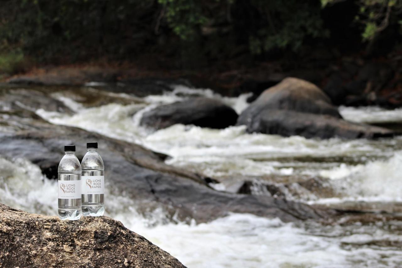 Lions Rock Rapids - Luxury Tented Camp Hazyview Eksteriør billede