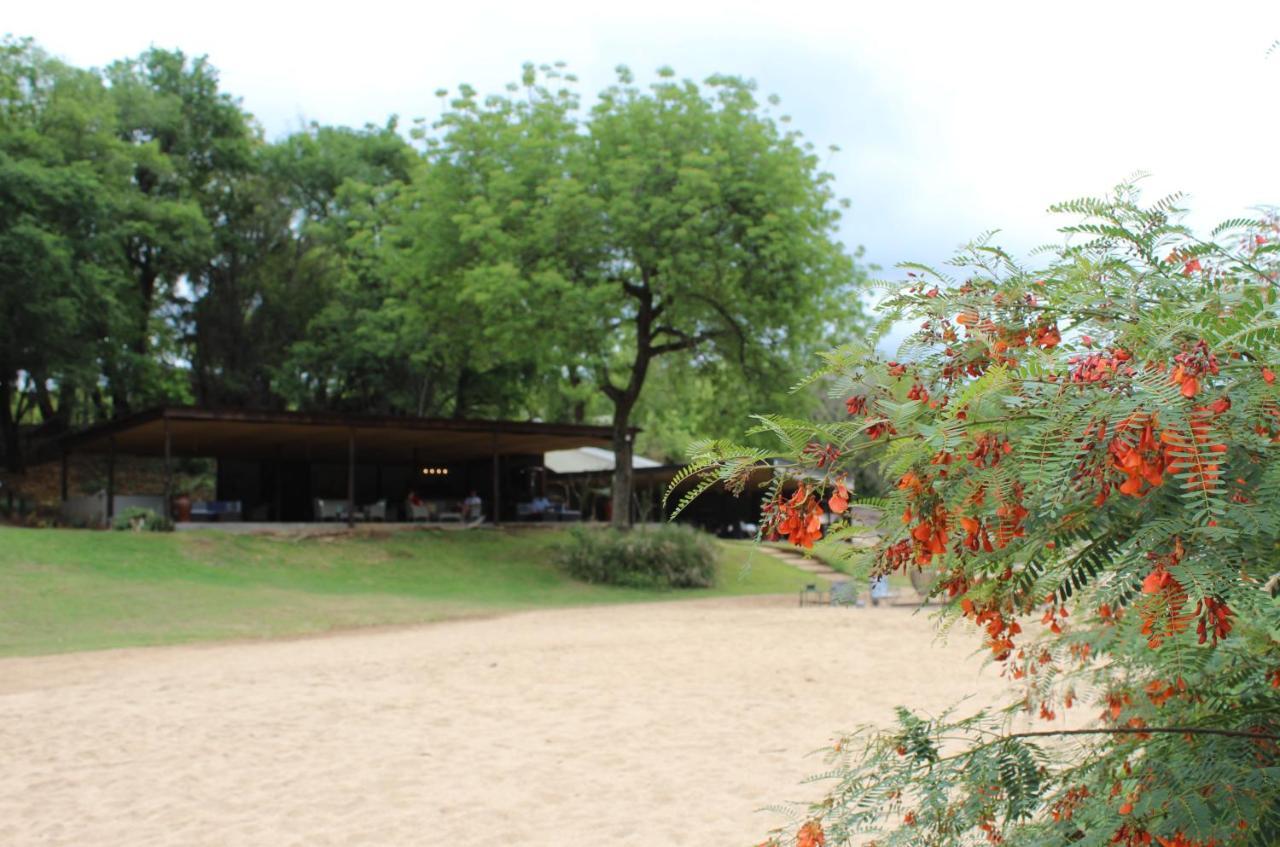 Lions Rock Rapids - Luxury Tented Camp Hazyview Eksteriør billede