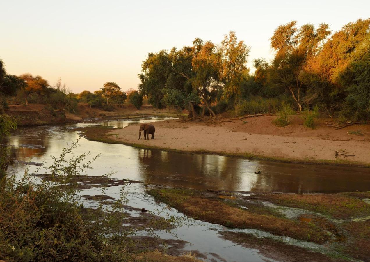 Lions Rock Rapids - Luxury Tented Camp Hazyview Eksteriør billede