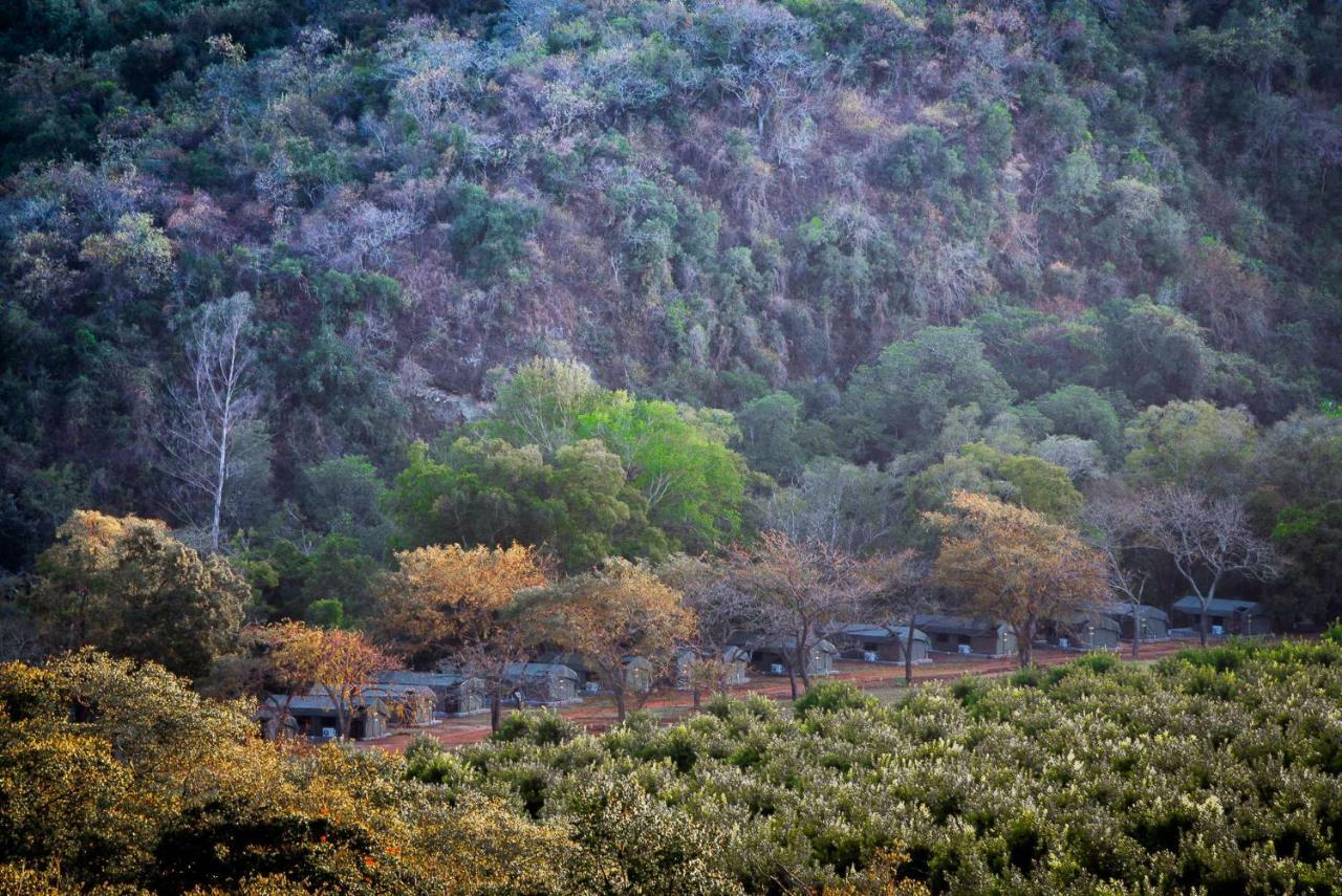 Lions Rock Rapids - Luxury Tented Camp Hazyview Eksteriør billede